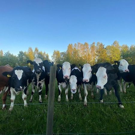 Mysig Stuga Naera Aestad Vingard & Spa Kültér fotó